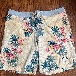 American Eagle Outfitters Tropical Flamingo Swim Shorts